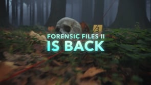 Line of Investigation — HLN, Forensic Files II - Branding & Positioning