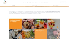 Corporate Website Redesign for a Global Life Science Distributor - Creación de Sitios Web
