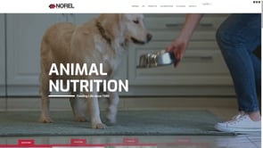 Corporate Website and Private Area for a Global Animal Nutrition Brand - Creación de Sitios Web