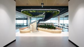 Sydney - Workplace Strategy, Design, and Build - Graphic Identity