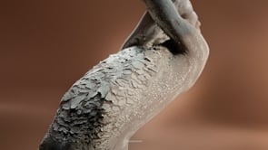 Sanex Therapy: campaña de skincare, tabletop de Tasty Studio - Photography