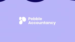 Pebble - grote geldzaken klein maken voor betrokken ondernemers - Branding & Positioning