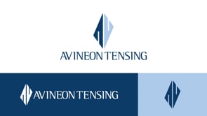 Avineon Tensing - Rebranding & logo design - Branding & Positioning