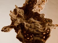 TENSION AND GRAVITY - Production Vidéo