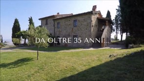 Posarelli Villas - Online Advertising