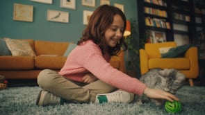 Affinity Kitten: 4 spots de comida para gatos, full IA - Artificial Intelligence