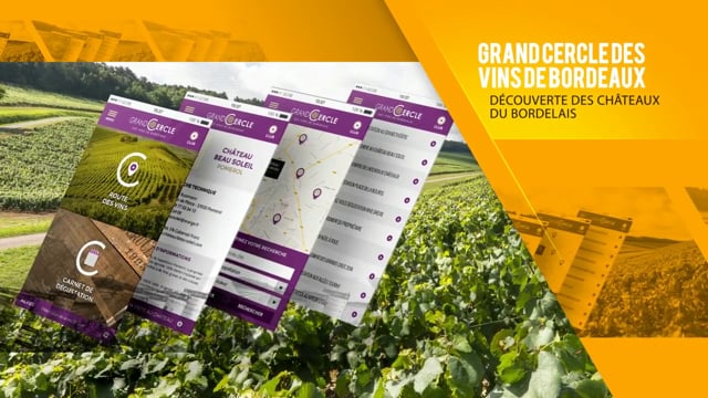 Showreel de l'agence WEB Stratégies - Website Creation