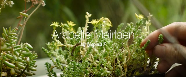 Arabelle Meirlaen By Léopold 7 - Publicité