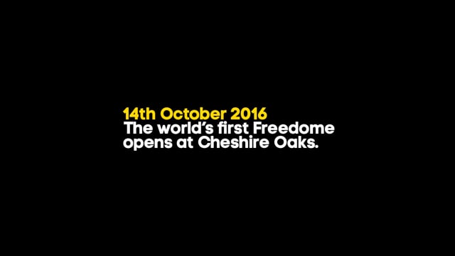 Freedome: A new active entertainment brand. - Branding & Positioning