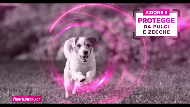 Anuncio Tv Frontline - TRI-Act - Publicidad