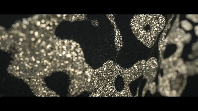 VincentPar Web Video - 3D