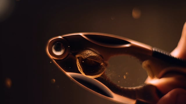 Food Reel 2017 - Production Vidéo
