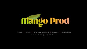 SHOWREEL - Mango Production - Animation