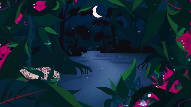 Feliae 2017 - Animation