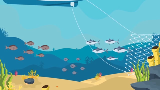USAID OCEANS (2D Info-graphic explainer) - Publicité