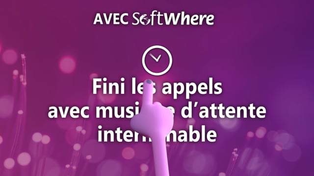 SOFTWHERE - VIDEO - Online Advertising