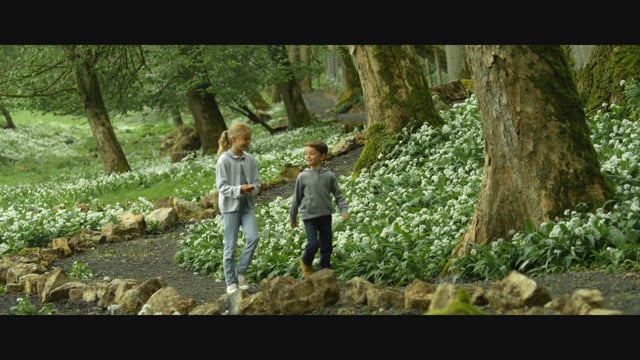 Domaine des Grottes de Han - Publicité