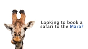 'Last Minute Mara' Online campaign - Digital Strategy