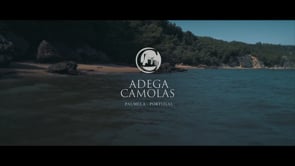 Camolas Wine House - Branding y posicionamiento de marca