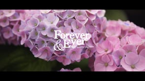Forever & Ever | Plantenmerk - Producción vídeo
