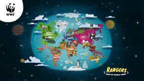 WWF Around The World Campaign Animatie - Motion Design