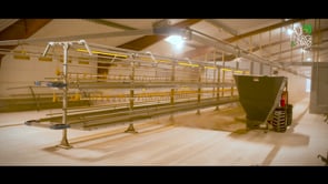 Corporate Video for website - Video Production