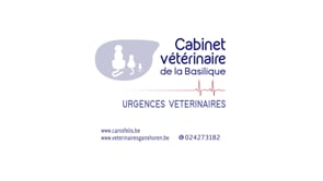 Vétérinaire Canisfelis - Animation