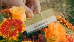 TOPBLOEMEN // Commercial Felicitatie