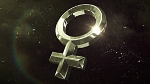 Show Reel - 3D
