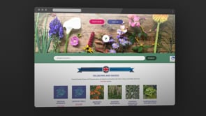 Plant Nursery eCommerce website - E-commerce