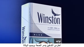 Winston Egypt - Website Creation