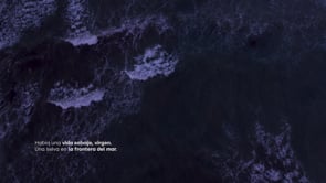 Cabo de Palos Subacuatico - Producción vídeo