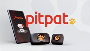 PitPat - Full Launch Campaign - Réseaux sociaux