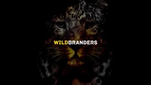 Wild Branders - Showreel - E-commerce