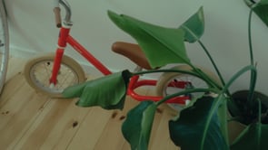 Bikes, Hikes and Tomatoes - Producción vídeo