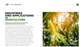 Dabeer - Custom Wordpress development - Creación de Sitios Web