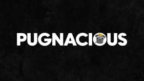 Pugnacious - Création de site internet