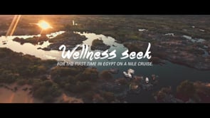 Wellness Egypt - Réseaux sociaux