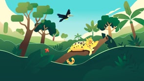 Nature for Health (N4H) / COP15 - Animation