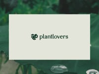 Een e-commerce platform voor planten - E-commerce
