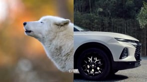 Chevrolet X Discovery Partnership Commercial - Werbung