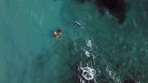 265 Days Without Waves Documentary - Producción vídeo