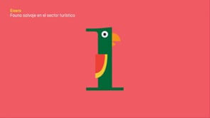 12 meses FAADA - Estrategia de contenidos