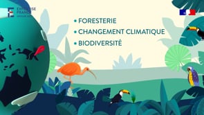 EXPERTISE FRANCE - Film motion COP28 - Motion Design