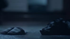 Advantix - Production Vidéo