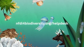 NFDI4Biodiversity - Identité Graphique