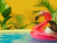 Costa Farms Rebrand & National Campaign - Publicité