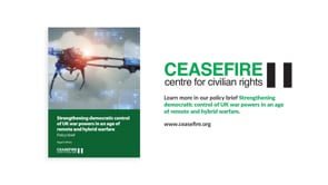 Ceasefire Centre for Civilian Rights - 3D