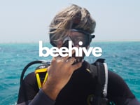 Beehive Productions Showreel - Video Production