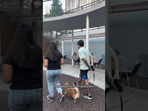 UGC VIDEO - Réseaux sociaux